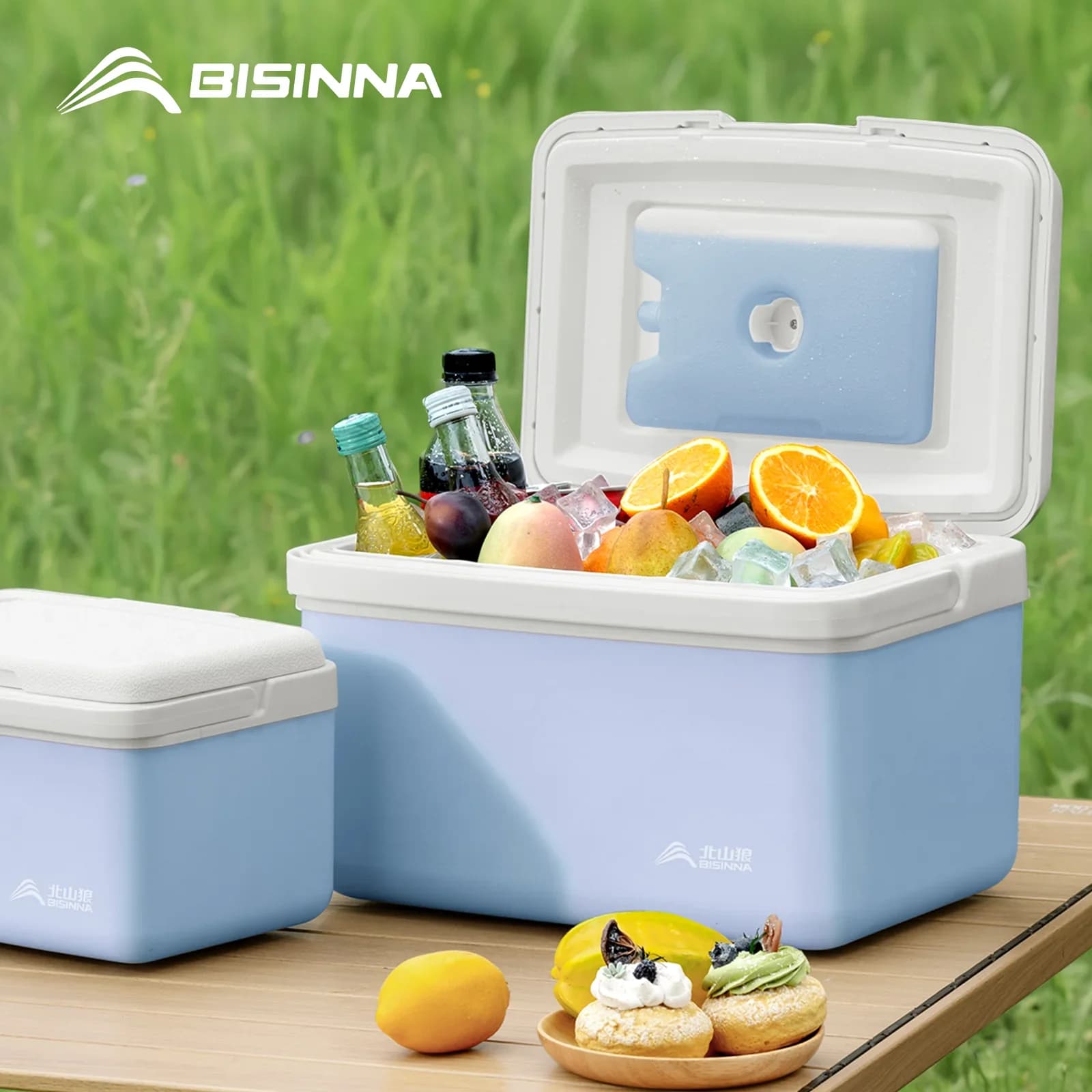 BISINNA kylväska 6L/9L/15L bärbar kylbox för camping, fiske, bil och picknick
